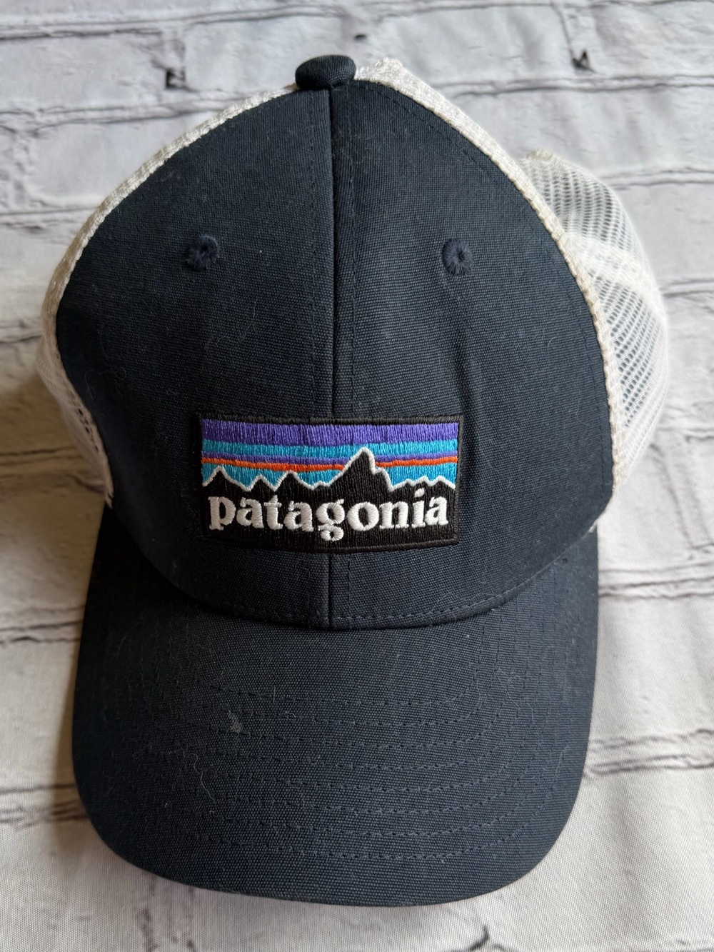Patagonia Hat Cap SnapBack Blue Logo Outdoor Gorpcore REI